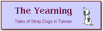 Tales of Stray Dogs in Taiwan